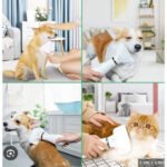 Escova Secadora para Pets – Seca Rápido e Remove Pelos de Cães e Gatos - Imagem 3
